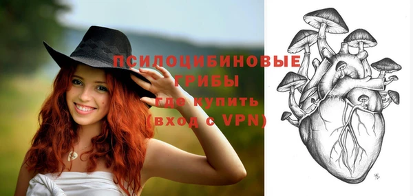 дмт Горнозаводск