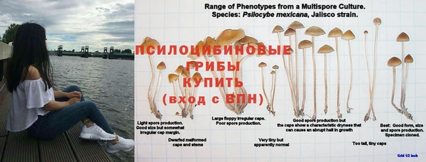 дмт Горнозаводск