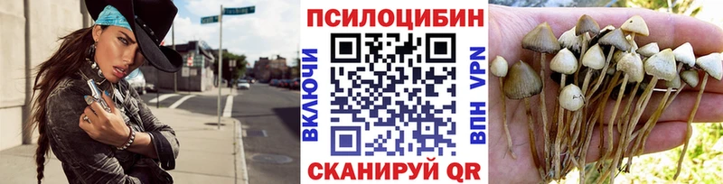 Псилоцибиновые грибы Psilocybe  ОМГ ОМГ маркетплейс  Октябрьск 